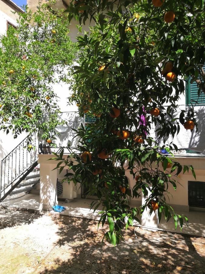 Garden House: Apartments And Rooms For Holidays Palermo Kültér fotó